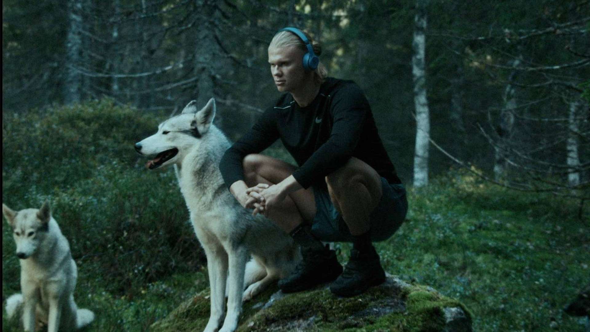 英格兰世界杯B组表现出色强势登顶展现夺冠潜力