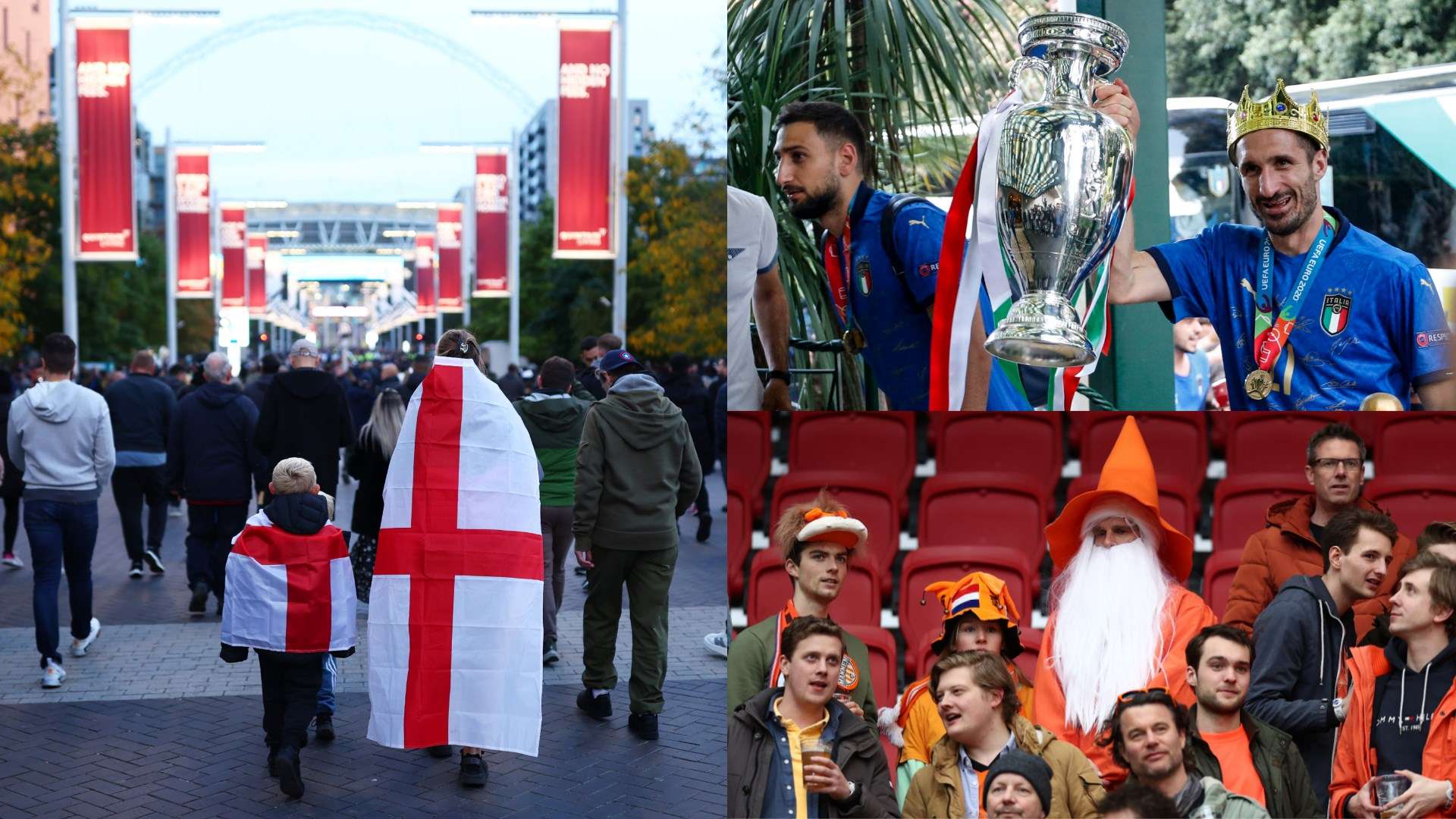 们提供了一 们提供了一