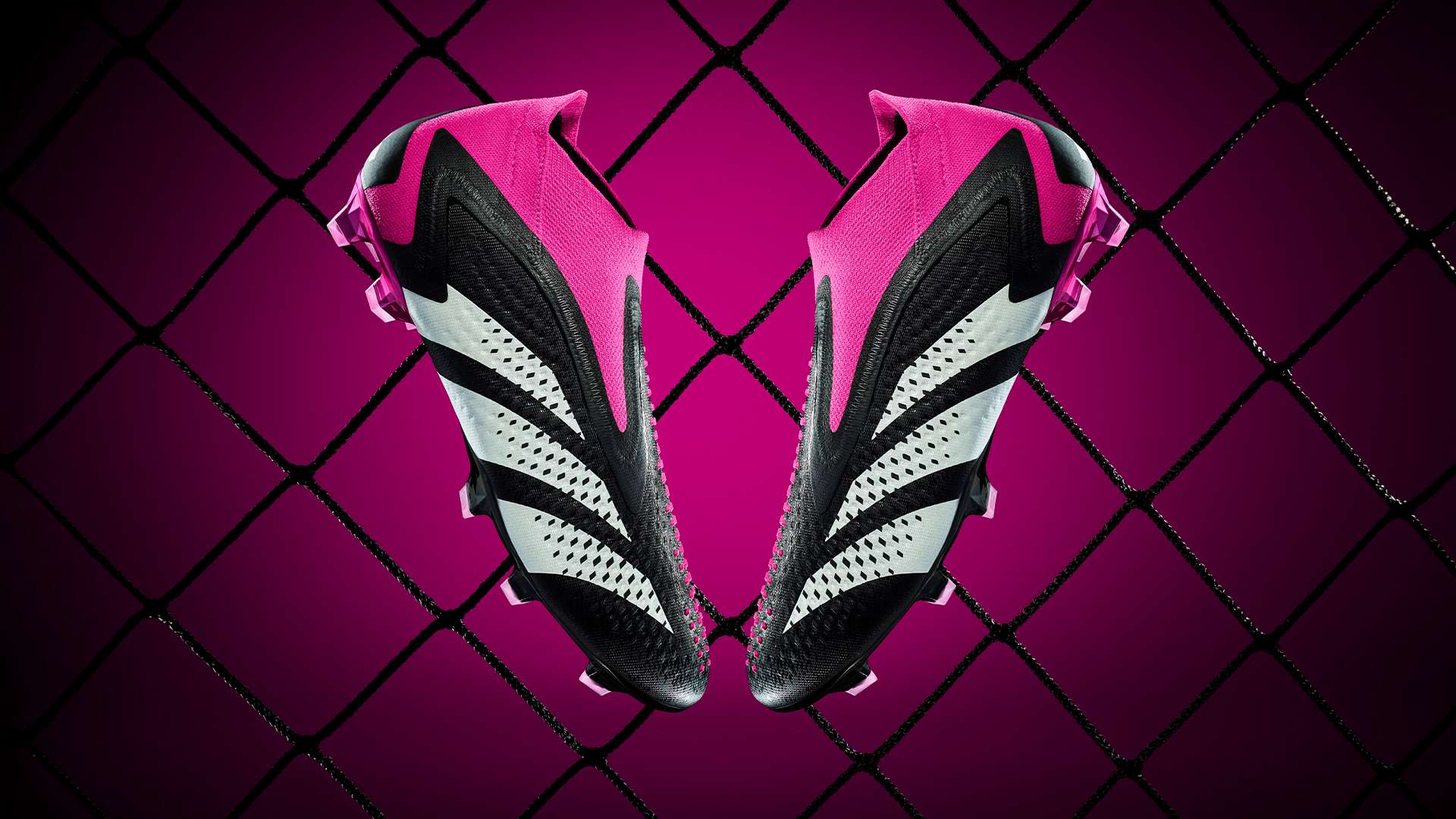 埃弗顿两队 埃弗顿两队